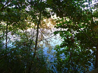 Les oiseaux du Grand-Voyeux