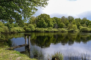 Boucle 11 - La Canne