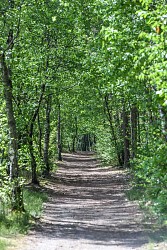Boucle 05 - Entre plaines et forêts