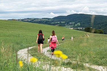 À travers champs (La Balme Ouest)