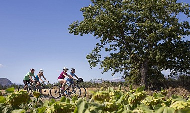 Parcours Cyclotourisme pour découvrir Istres