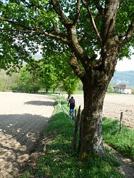 Circuit VTT n°32 - Autour du Thiers