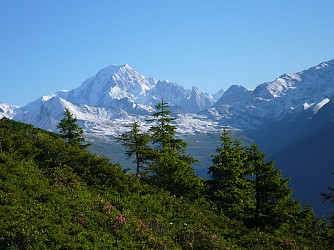 Sentier découverte du Planay de Villaroger