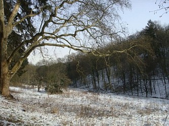 Esneux P07 | Le Tour du Mary