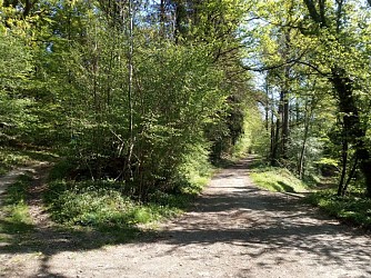 Esneux P08 | Balade du Rond-Bâti