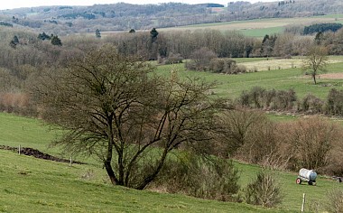 image du circuit