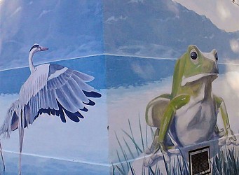 Discovery tour: Frescoes and Trompe-l'oeil