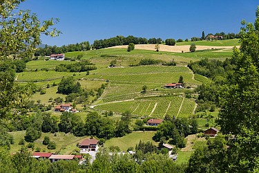Randonnée pédestre - Le Crêt de Tilly