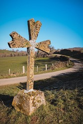 Circuit Les Châtaigniers
