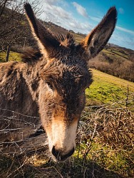Circuit Le dolmen de Mazérat Bis
