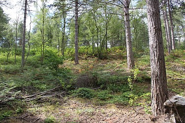 Le parcours nature de Lévignen