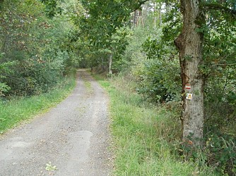 Randonnée La Fromentale - Anglards de Saint-Flour