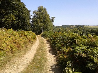 Randonnée Sentier Art et Nature