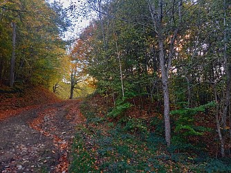 Randonnée le Gros Hêtre