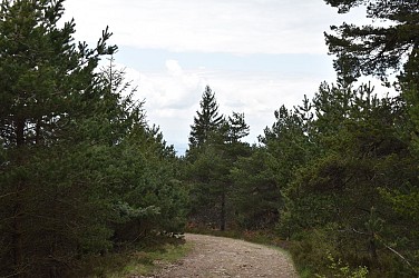 Randonnée Le Chemin des écoliers de Védrines Saint-Loup