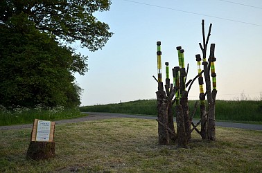 image du circuit