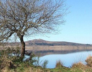 Brasparts-Saint Rivoal : circuit VTT