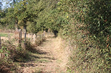 Sentier La campagne gildarienne