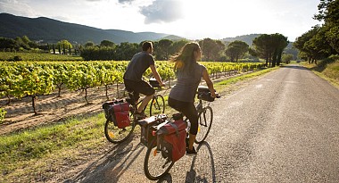 Vignes et oliviers à vélo