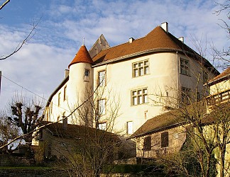 CIRCUIT DU GROS CHÊNE A FÉNÉTRANGE