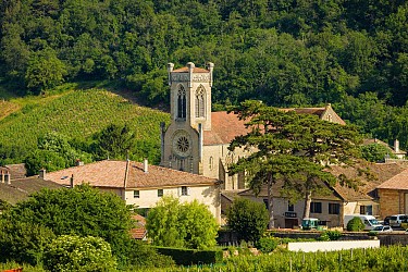 Entre Pouilly et Fuissé