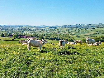 Sentier thématique - Chemin du bocage et des fours à chaux