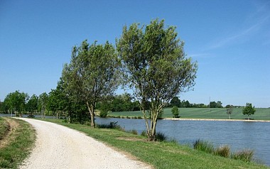 Circuit du Bois Quillard