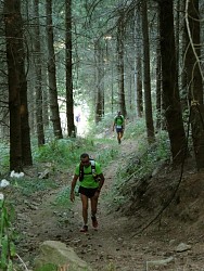 Trail n° 7 - Saint-Nicolas-des-Biefs