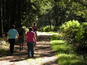 12. Circuit de la voie romaine et de l'allée couverte