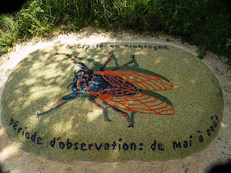 Sentier botanique Génicourt sur Meuse
