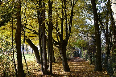 Sentier Vegetti, de Yvoire à Nernier