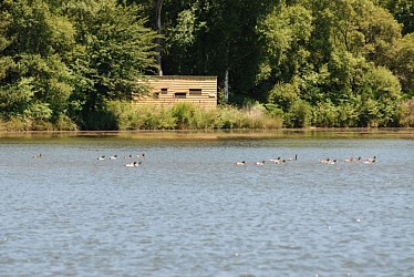 10. Circuit des étangs et de la forêt de Branguily