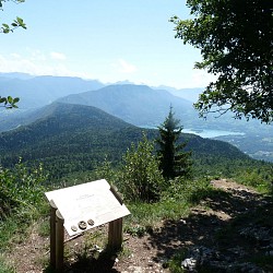 MTB track no. 6 - Château Richard