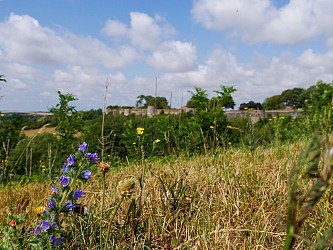 Le Mont Hulin
