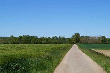 Sentier Les bords de Loire
