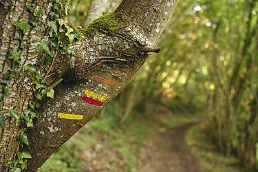 Autour de l'Airou - Le Mesnil-Rogues