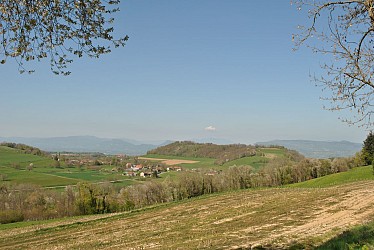 N°4 - Les balcons de la Batie Divisin