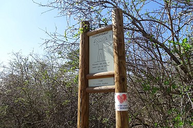 Parcours sportif - Remise en forme en forêt