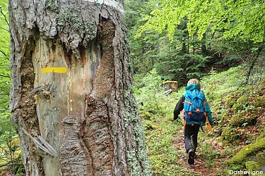 N°12 (rouge/bleu) - Balade des chartreux