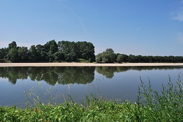 CHAMPTOCE SUR LOIRE - Au fil de la Loire