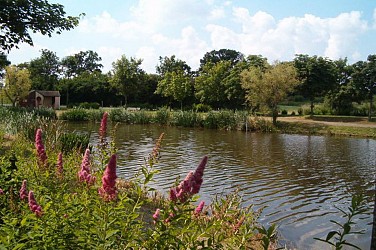 Coësmes - Chemin des Saulniers