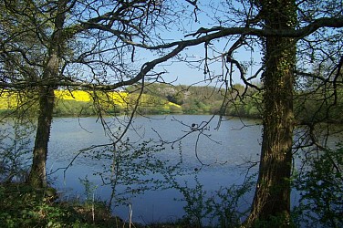 Martigné-Ferchaud - Vallée de Guéra