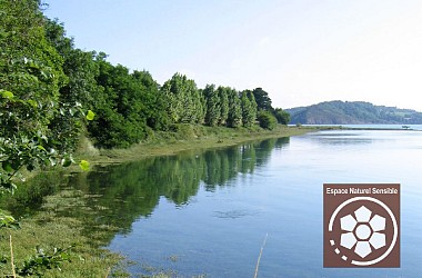 Balade dans le Bois de Rigourdaine - Plouër-sur-Rance