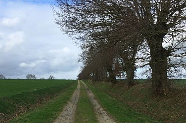 Sainte-Colombe - La ronde des espiègles