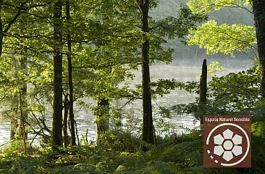 Balade dans le Bois de Kériven