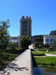 A vélo sur les bords de Loire, au pied des coteaux viticoles.