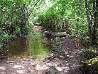 La Balade de Nestor à Lormes