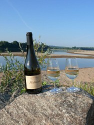 La Route Touristique du Vignoble... en Pays d'Ancenis !
