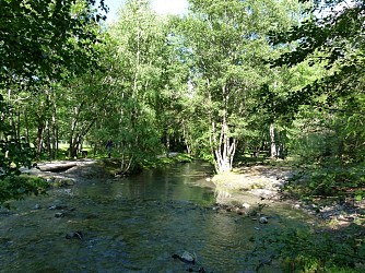 De la ripisylve au canal n°9