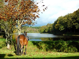 14. Circuit endurance équestre sur les hauteurs de Quénécan